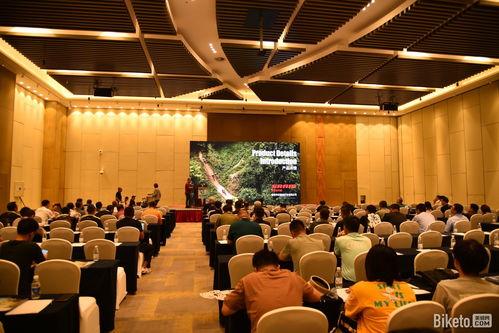 以見聞覓商機 2023“白鴿行動”華北站完美收官，廣告設計賦能品牌新視野